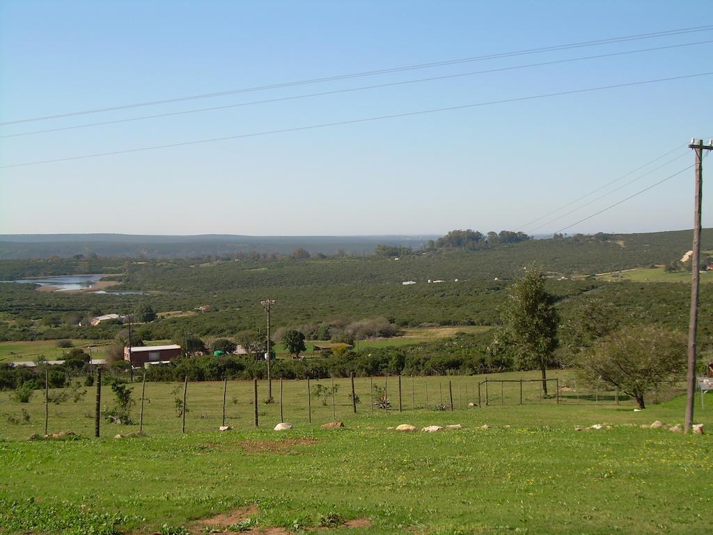 Hotel The Hexagon Wildlife Conservation Uitenhage Exterior foto